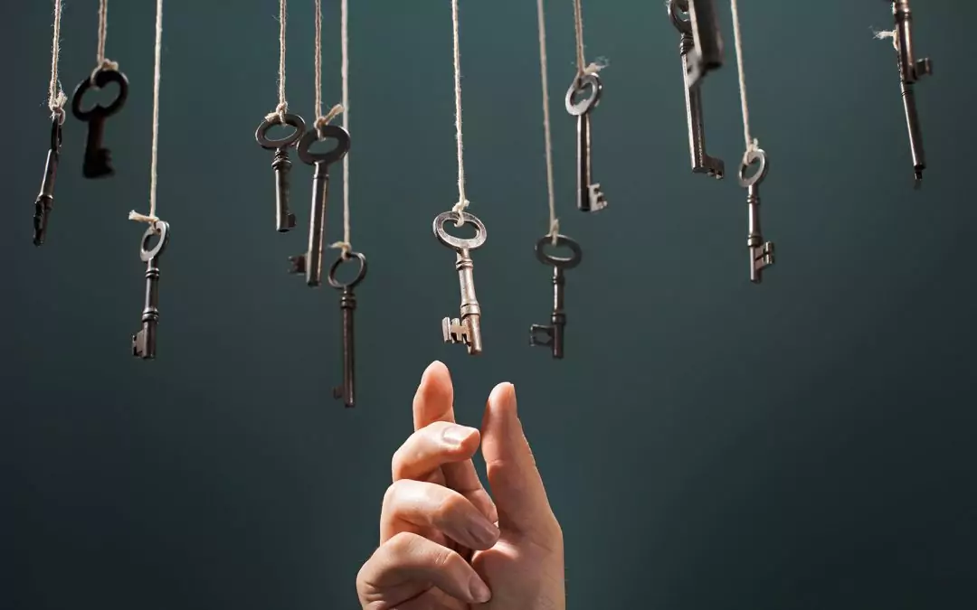 Schwerpunkt 1 von 3: Führungskräfte-Entwicklung mit PE-Solution