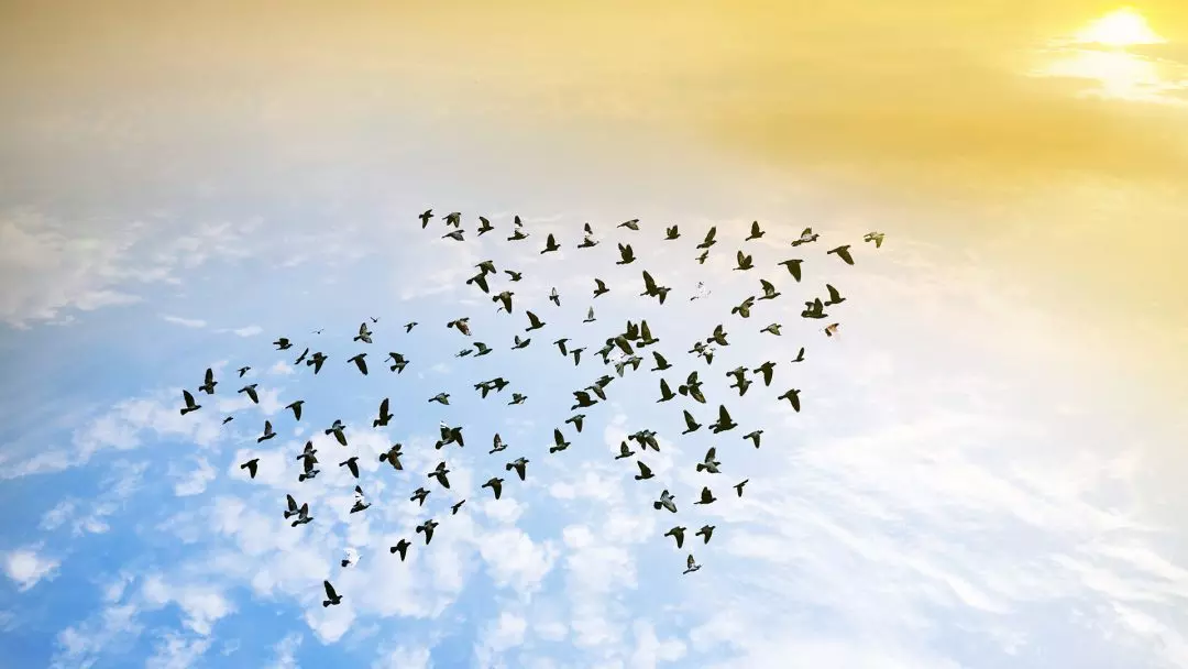 Leitlinien für Führung und Zusammenarbeit